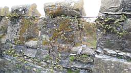 acastle
                          111225.jpg
